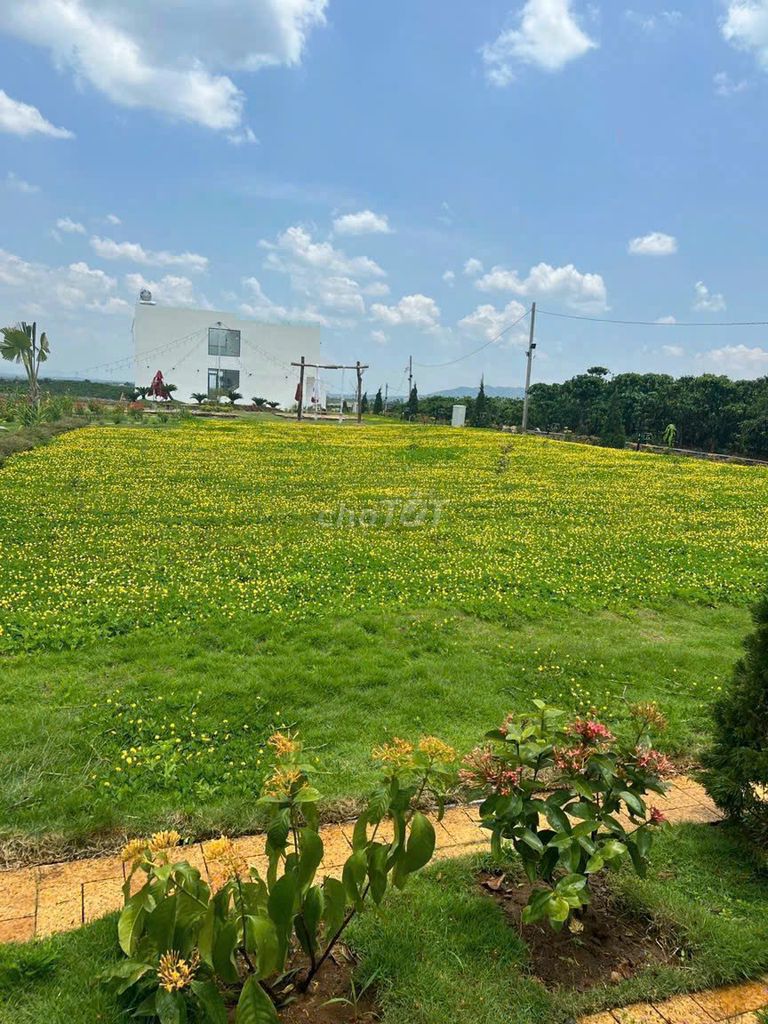 Đất nền thổ cư giá ngộp. Mua bán đất tại Huyện Bảo Lâm Lâm Đồng được đăng bởi Nguyễn Hữu Việt hình 2