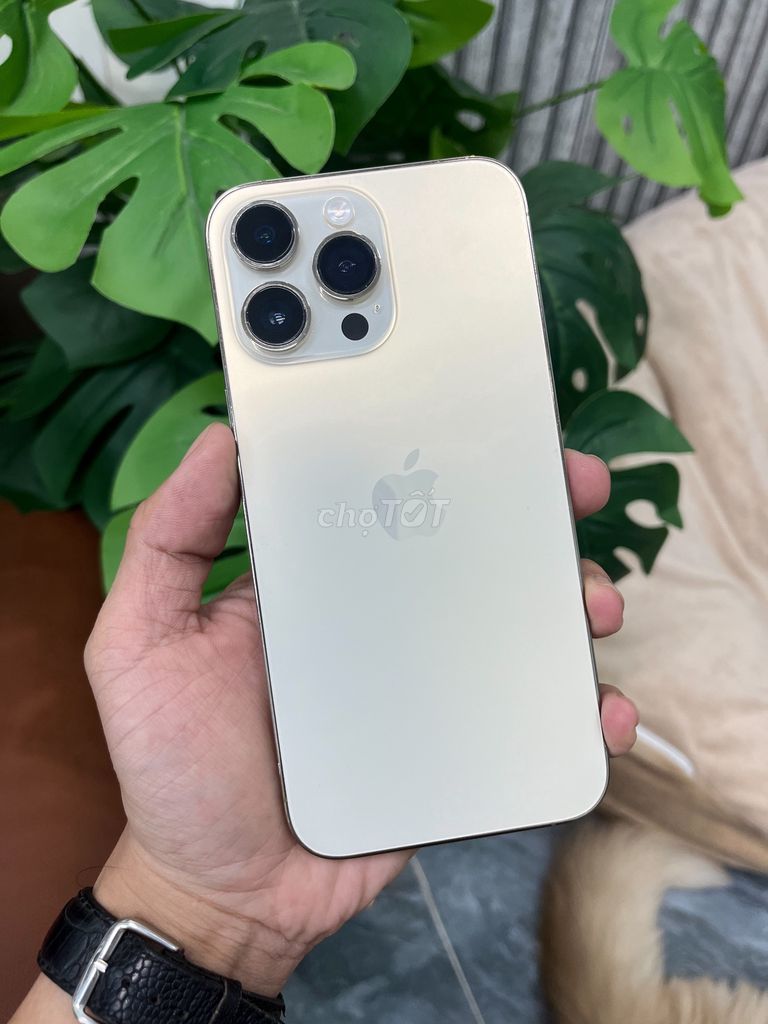 Apple iPhone 14 Pro Max 128GB Vàng. Mua bán Điện thoại tại Quận Bình Thuỷ Cần Thơ được đăng bởi lộc hình 1