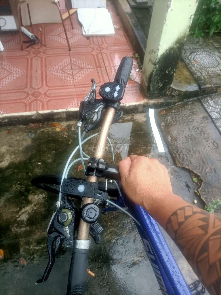 Xe đạp đường phố Shimano xanh GP. Mua bán Xe đạp tại Thành phố Bà Rịa Bà Rịa - Vũng Tàu được đăng bởi Nguyễn Minh  hình 5