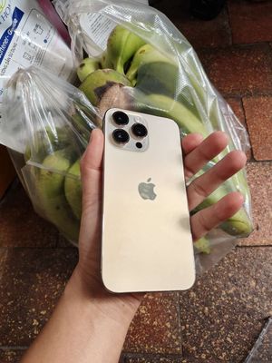 Chán Bán 14Promax 1T GB, Quốc Tế Mỹ Pin93. Mua bán Điện thoại tại Thành phố Thuận An Bình Dương được đăng bởi A Ty