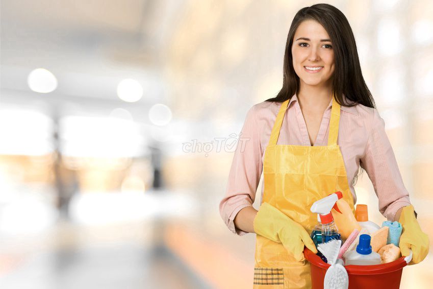 Cần Thuê Giúp Việc Nhà Ca Sáng Mỗi Ngày Quy Nhơn