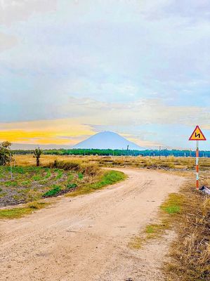 TÂY NINH - BÁN 1000m2 đất vườn đang trồng cây, mặt tiền nhựa. Mua bán đất tại Huyện Tân Châu Tây Ninh được đăng bởi Quốc Việt