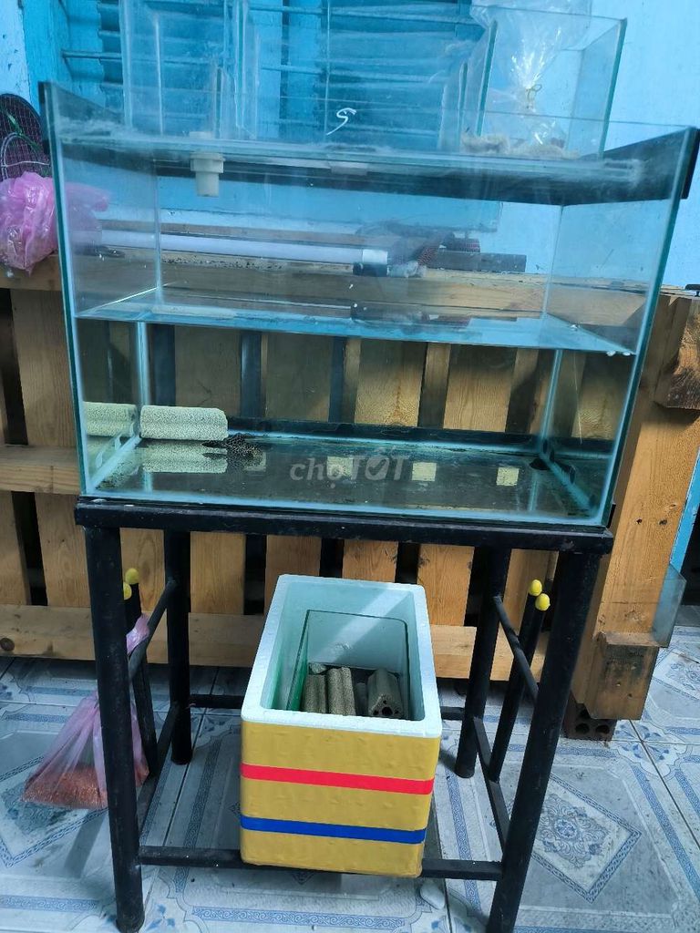 Hồ cá cảnh Kính 50x30x35cm. Mua bán Phụ kiện, Thức ăn, Dịch vụ tại Huyện Long Thành Đồng Nai được đăng bởi Thành hình 1