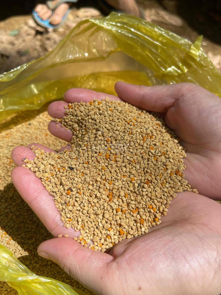 Mật ong hoa cà phê 1 lít. Mua bán Đồ ăn, thực phẩm và các loại khác tại Quận 7 Tp Hồ Chí Minh được đăng bởi Trịnh Hồng Diễm hình 1