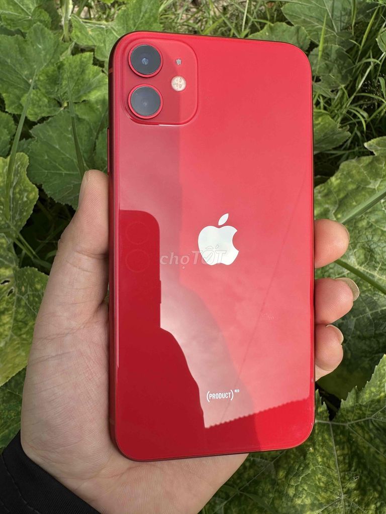 Apple iPhone 11 64GB. Mua bán Điện thoại tại Quận Cầu Giấy Hà Nội được đăng bởi Nguyễn Quân hình 1