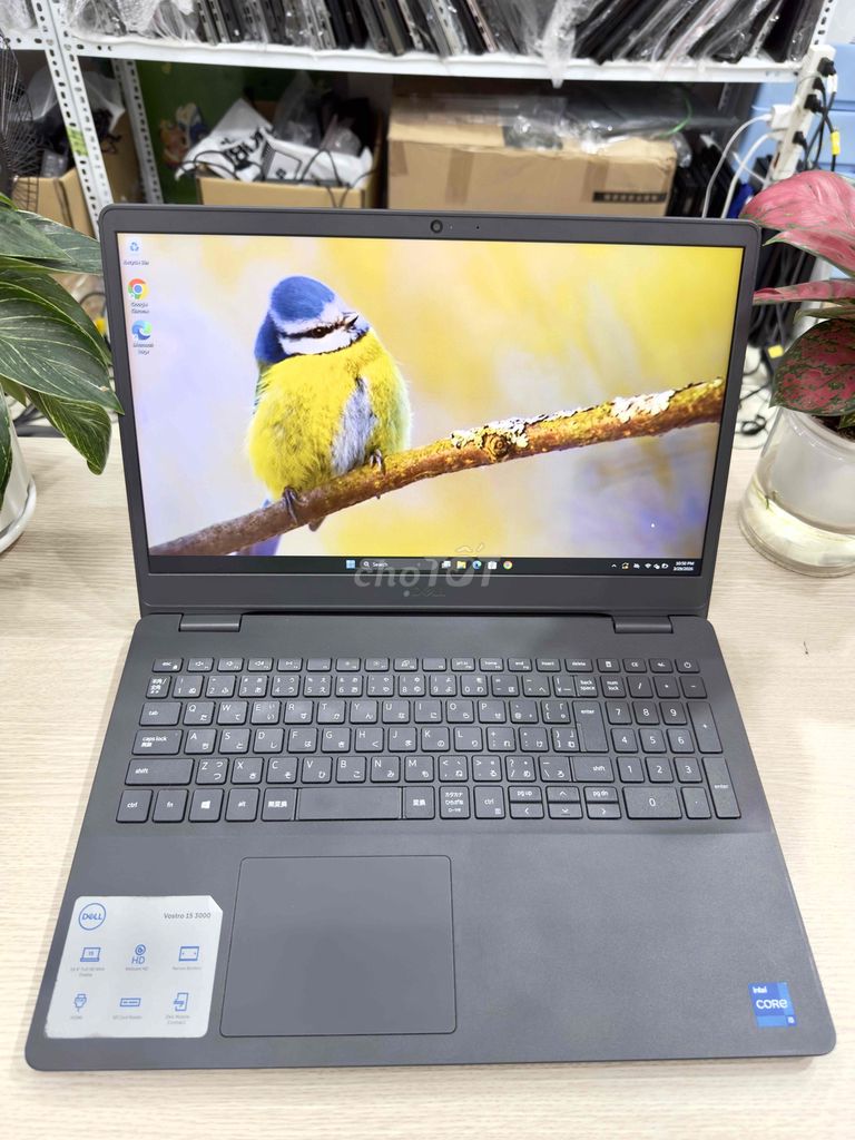 Dell Vostro 3500 i5 Gen11 RAM8 SSD256 pin new 100%. Mua bán Laptop tại Quận Hai Bà Trưng Hà Nội được đăng bởi Akiba shop hình 1