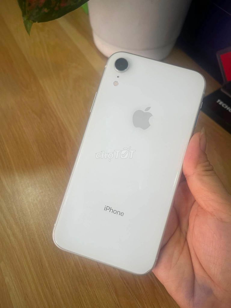 iPhone Xr 128GB Trắng Đã qua sử dụng. Mua bán Điện thoại tại Quận Gò Vấp Tp Hồ Chí Minh được đăng bởi Hội Đồ Điện Tử hình 1