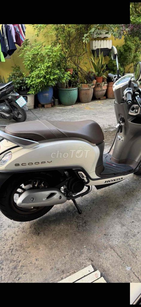 hon đa scoopy 110 màu trắng đời 2025. Mua bán Xe máy tại Quận 4 Tp Hồ Chí Minh được đăng bởi Hồng Nga hình 2