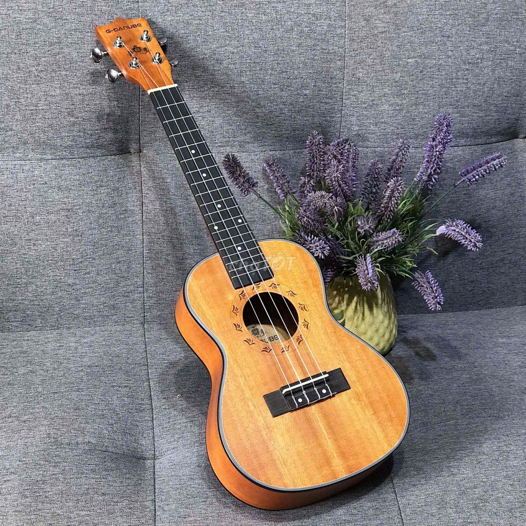 Đàn Ukulele G-Danube Gỗ Nâu Concert. Mua bán Nhạc cụ tại Quận Tân Phú Tp Hồ Chí Minh được đăng bởi Nhạc Cụ Giá Rẻ hình 1