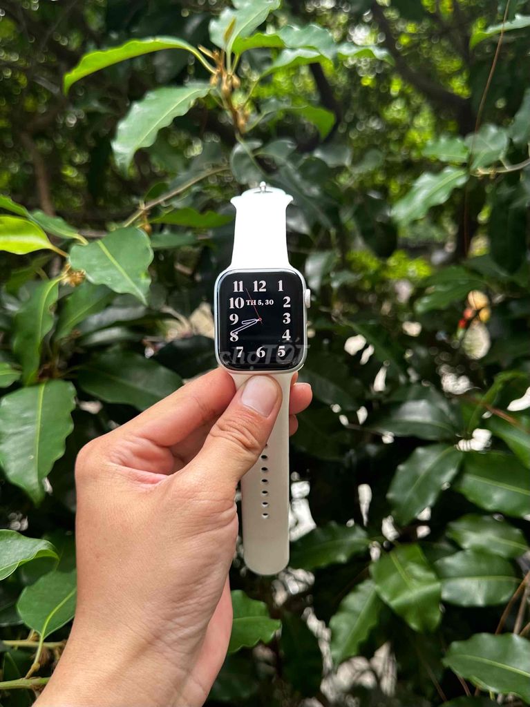 Apple Watch SE 44mm Silver