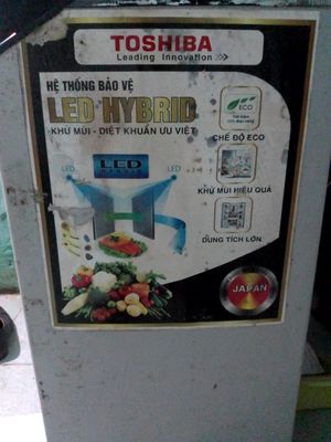 Tủ lạnh toshiba, lạnh tốt, tích kiệm điện.. Mua bán Tủ lạnh tại Quận Ngô Quyền Hải Phòng được đăng bởi Ong Vàng