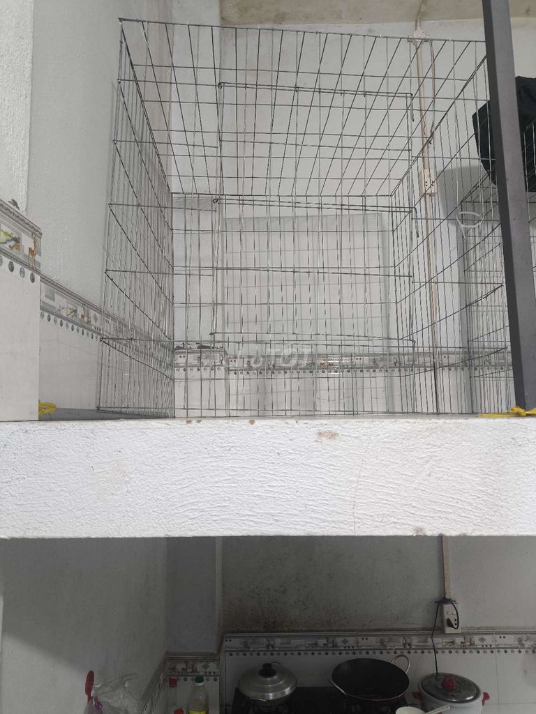 Lồng 1 mét vuông kẽm 3li. Mua bán Phụ kiện, Thức ăn, Dịch vụ tại Thị xã Tân Uyên Bình Dương được đăng bởi Thành Tú hình 1
