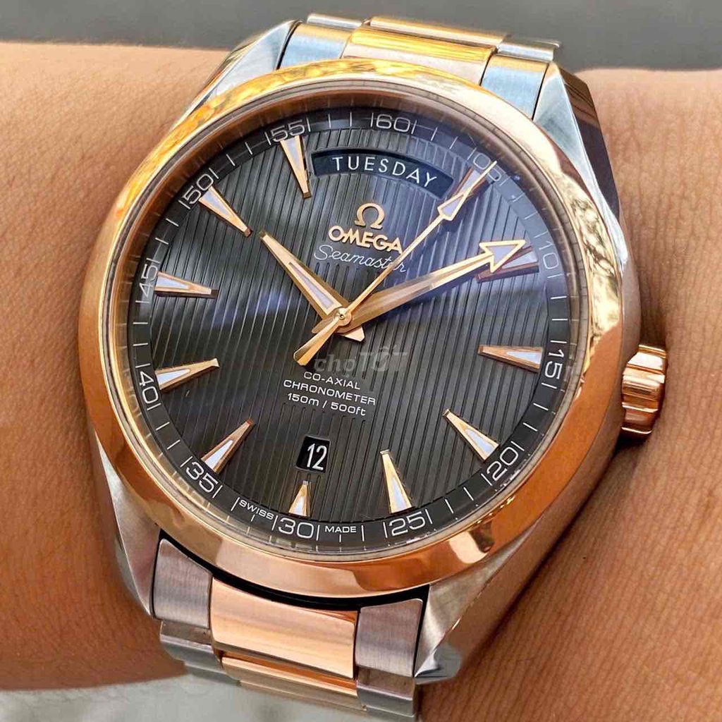 Omega Seamaster Aqua Terra 231.20.42.22.06.001