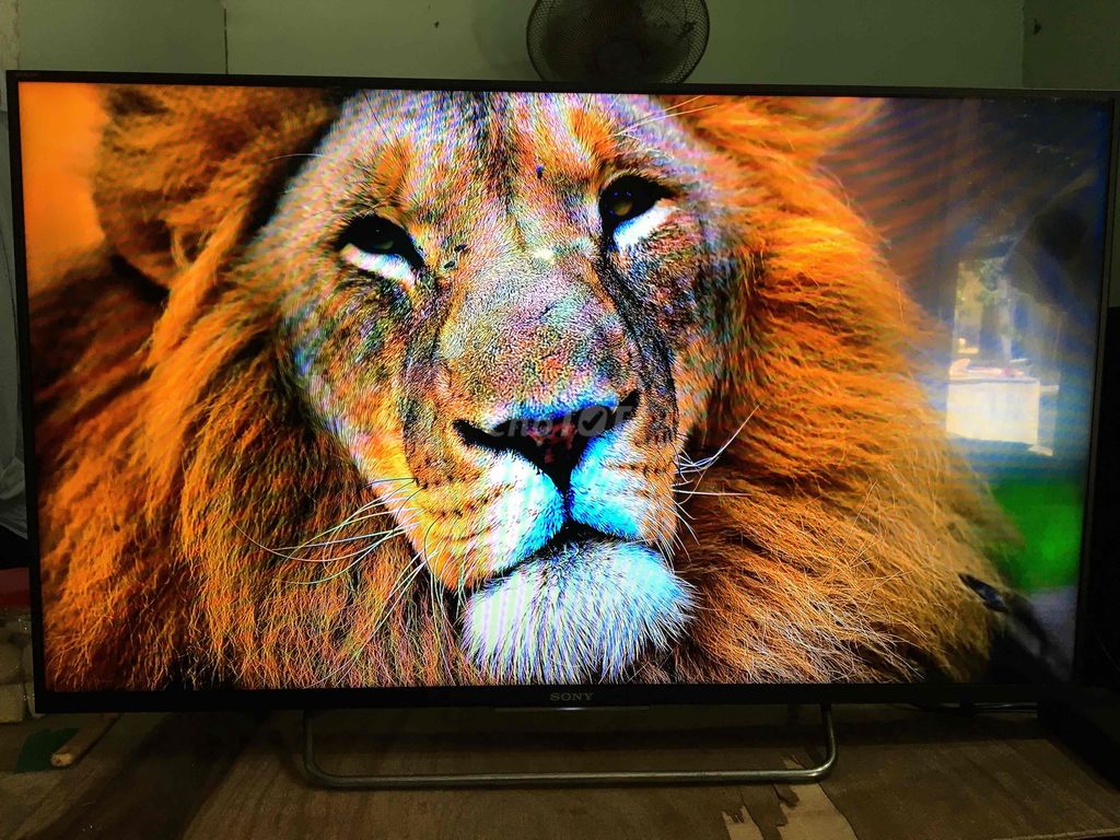 Tivi Sony 43 inch Tìm kiếm giọng nói. Mua bán Tivi, Âm thanh tại Thành phố Bến Tre Bến Tre được đăng bởi Khang hình 1