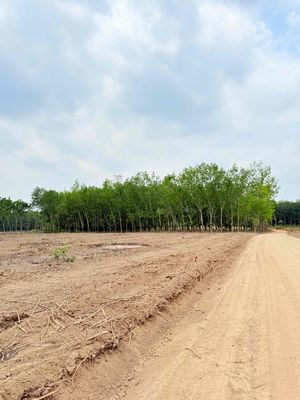 Đất đẹp giá thật 100% , Phường Đồng Xoài , Thành Phố Đồng Nai
