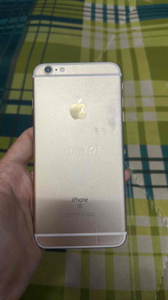 iPhone 6S Plus 64GB Vàng. Mua bán Điện thoại tại Thành phố Thủ Đức Tp Hồ Chí Minh được đăng bởi Tấn Trần Phúc hình 1