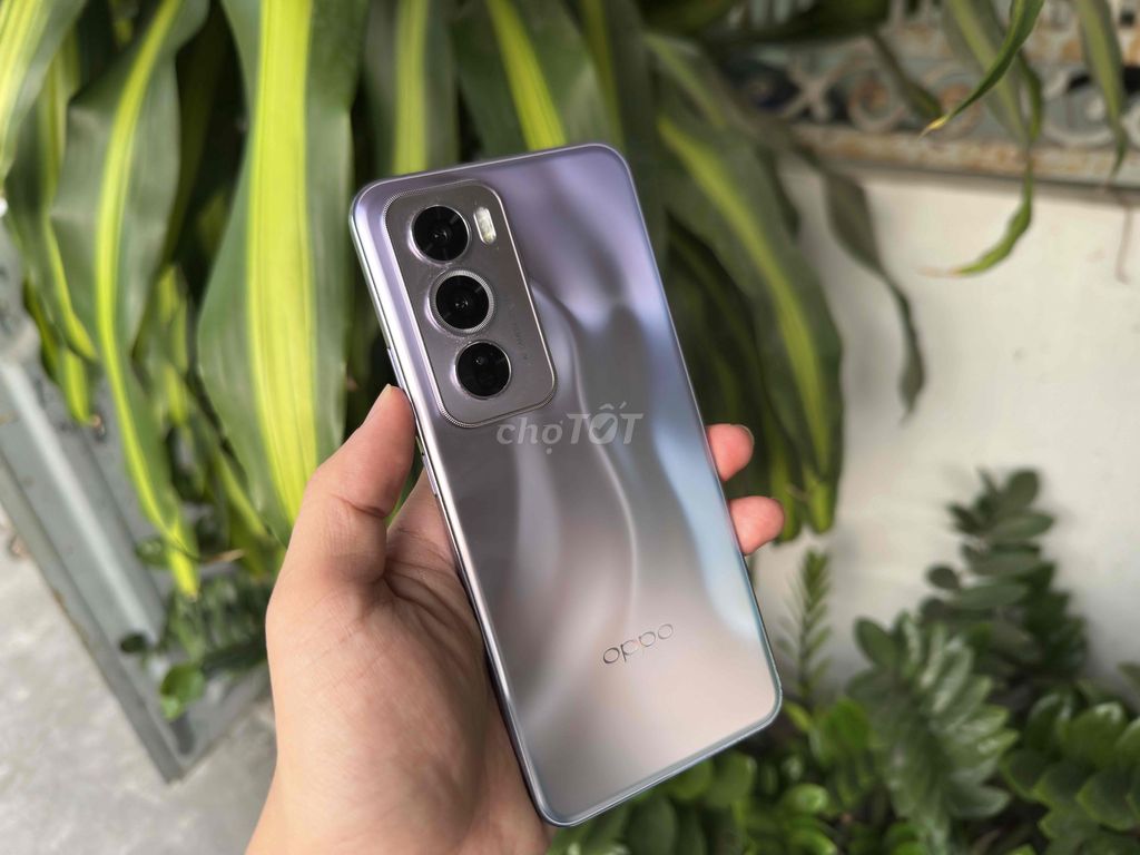 Oppo Reno12 Pro 12Gam 256GB Tím. Mua bán Điện thoại tại Quận Ninh Kiều Cần Thơ được đăng bởi ĐIỆN THOẠI GIÁ TỐT UY TÍN  hình 1