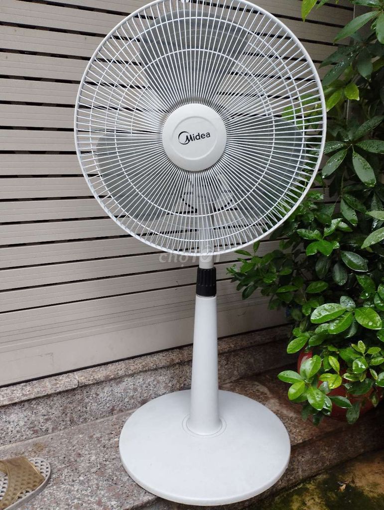 Quạt đứng Midea Trắng 45W 400mm. Mua bán Quạt tại Quận Cầu Giấy Hà Nội được đăng bởi Mạnh Thắng hình 1