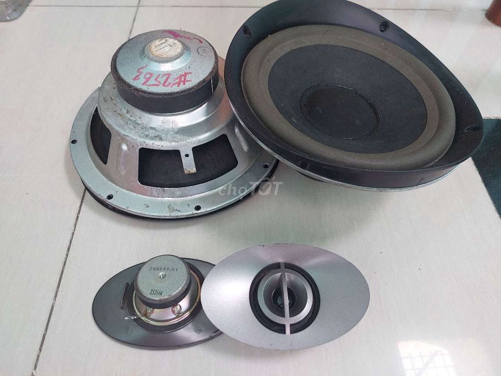 Loa BOSE 301V. Mua bán Tivi, Âm thanh tại Quận 8 Tp Hồ Chí Minh được đăng bởi Nhật Audio hình 1
