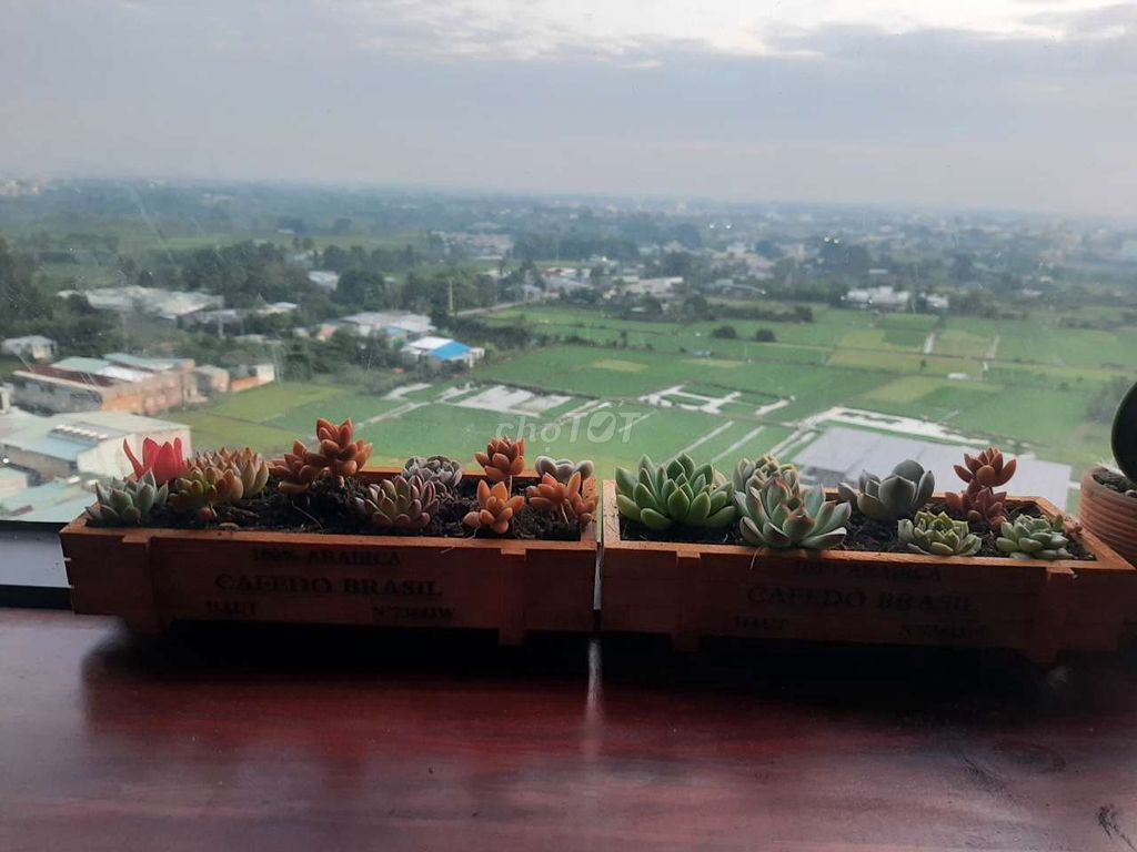 chính chủ Picity high park 50m² : bếp rèm máy lạnh giàn phơi, bàn trà