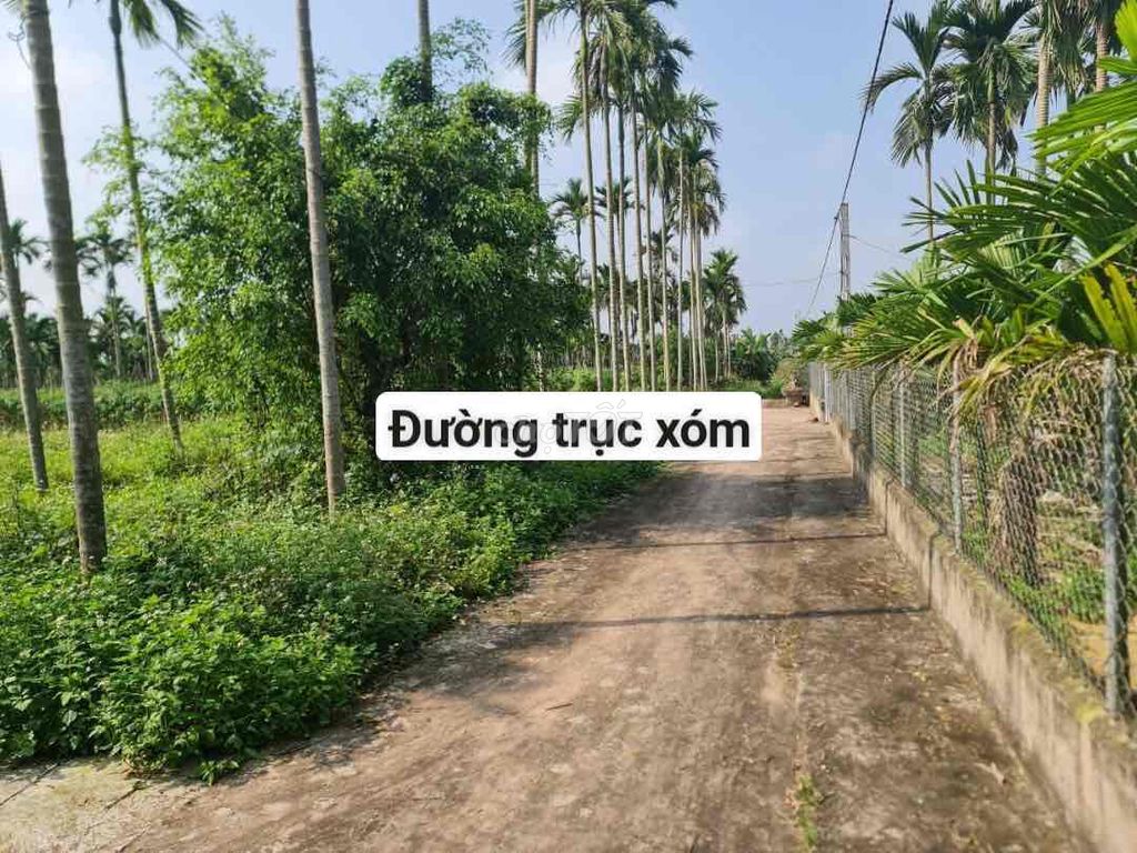 Bán lô đất xóm Ninh Hà, xã Hải Giang, Hải Hậu