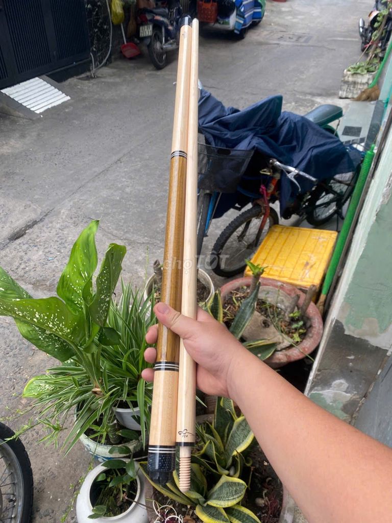 Cơ bida Longoni Gỗ Nâu kem. Mua bán Đồ thể thao, Dã ngoại tại Quận 3 Tp Hồ Chí Minh được đăng bởi nguyên hình 1