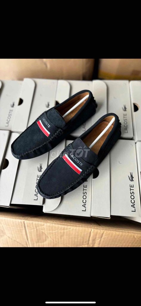 Giày lacoste da lộn size 39 oder indonesi