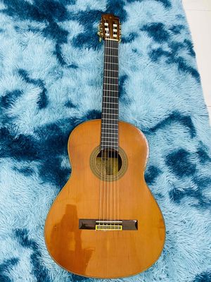 guitar Classic yamaha C-300 zin