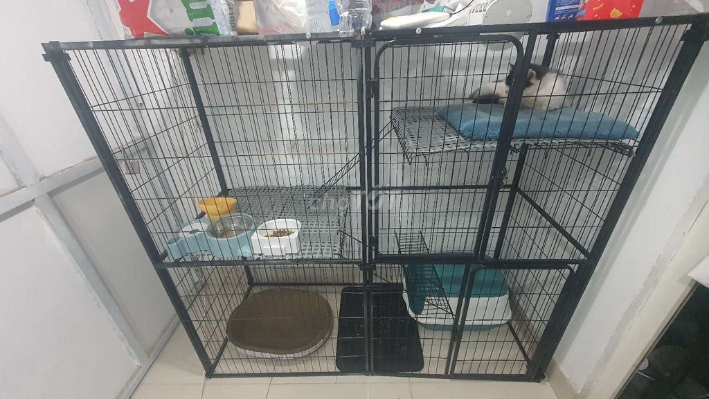 Chuồng mèo kim loại Đen 130x142x54cm. Mua bán Phụ kiện, Thức ăn, Dịch vụ tại Thành phố Thủ Đức Tp Hồ Chí Minh được đăng bởi nguyen hoang tuan hình 1