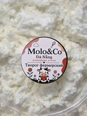 Moloco logo