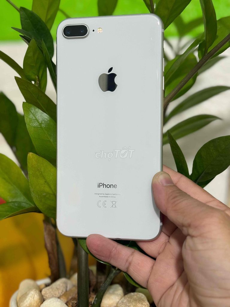 Apple iPhone 8 Plus 64GB Trắng. Mua bán Điện thoại tại Huyện Hóc Môn Tp Hồ Chí Minh được đăng bởi Sonle hình 1