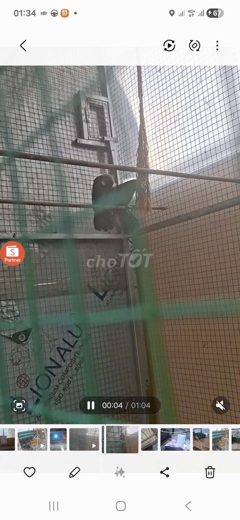 Chim khướu Mun trống 3 mùa, mái tơ. Mua bán Chim tại Quận Gò Vấp Tp Hồ Chí Minh được đăng bởi nguyễn trọng nghia hình 1