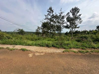 Bán lô đất ngộp ngay mặt tiền chính giá cực ưu đãi. Mua bán đất tại Huyện Bảo Lâm Lâm Đồng được đăng bởi Nguyễn Thị Thu Trang