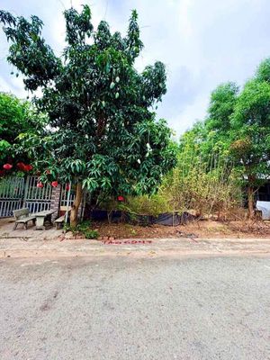 Kẹt tiền bán lô đất Mỹ Phước 150m2, gần ĐH Việt Đức
