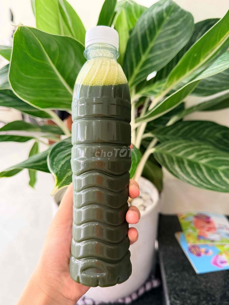 Nước rau má nhà làm màu xanh lá. Mua bán Đồ ăn, thực phẩm và các loại khác tại Quận Gò Vấp Tp Hồ Chí Minh được đăng bởi TRẦN TRỌNG hình 1