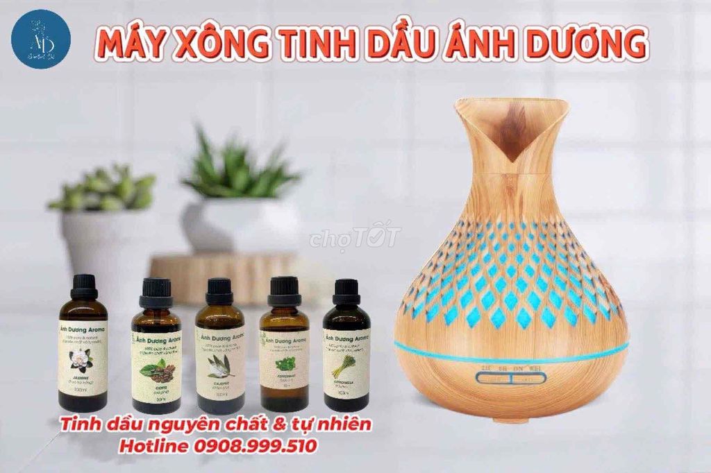 Đèn xông tinh dầu cao cấp Ánh Dương