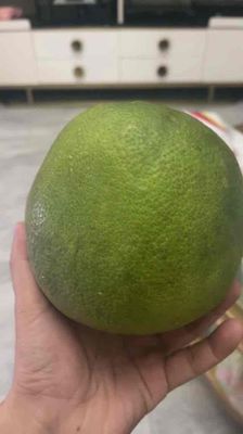 Bưởi da xanh 1.5-1.7kg. Mua bán Đồ ăn, thực phẩm và các loại khác tại Quận Gò Vấp Tp Hồ Chí Minh được đăng bởi Lê Bình