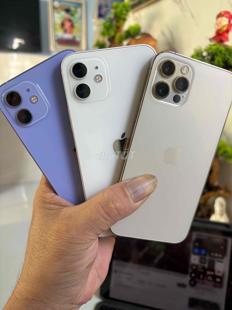 iPhone 12 64GB Tím. Mua bán Điện thoại tại Thành phố Thuận An Bình Dương được đăng bởi  Phan Trung hình 1