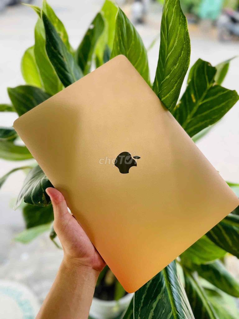 macbook Air 2019 99% màu gold