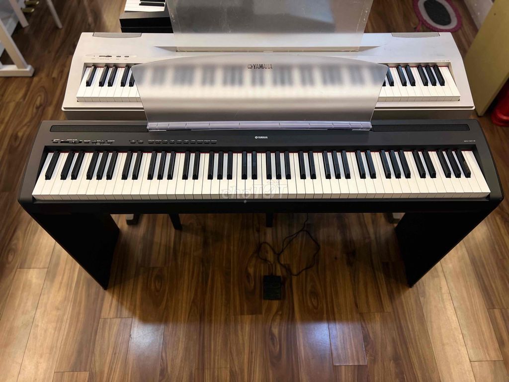 Piano Điện Yamaha P85 âm thanh sampling stereo