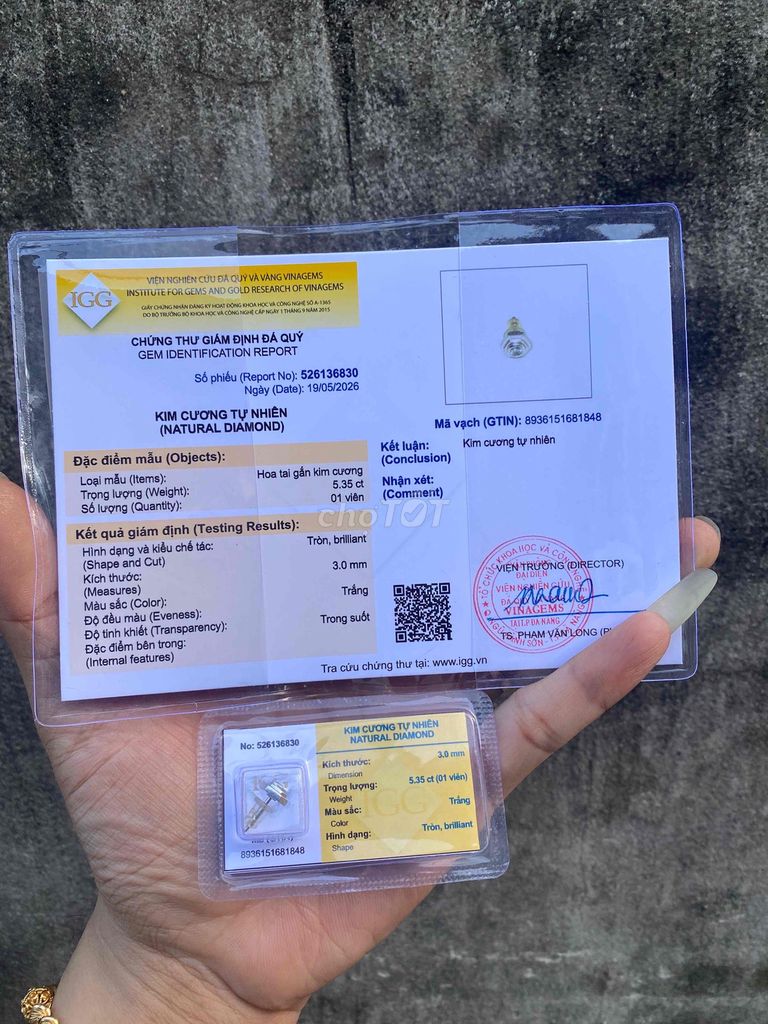 Bông tai nam bạch kim. Mua bán Phụ kiện thời trang khác tại Quận Sơn Trà Đà Nẵng được đăng bởi Mr Bin Jewelry hình 1