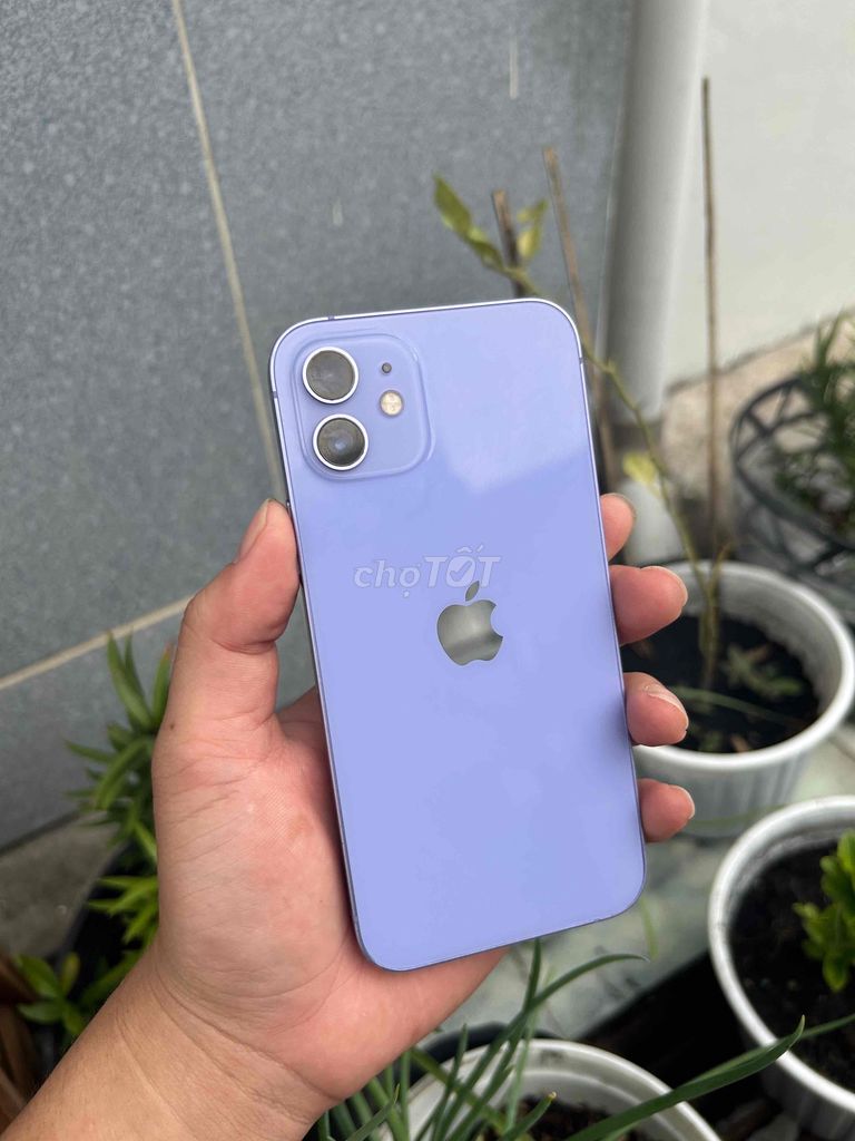 Apple iPhone 12 64GB Tím 98% pin 100%. Mua bán Điện thoại tại Quận Ninh Kiều Cần Thơ được đăng bởi CỬA HÀNG BÃO MOBILE hình 1