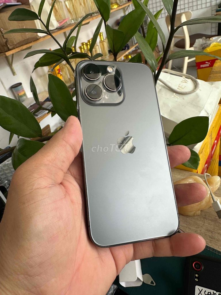 iPhone 13 Pro 256GB Xám Đã sử dụng. Mua bán Điện thoại tại Thành phố Dĩ An Bình Dương được đăng bởi junstar store hình 1