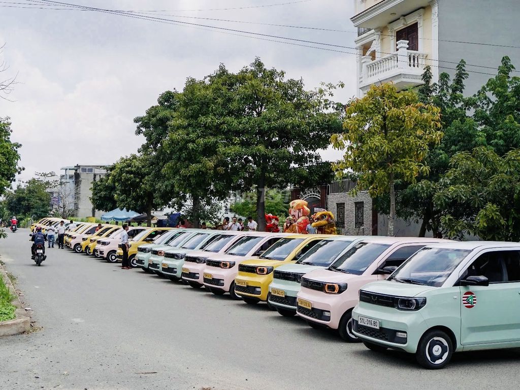 Tập đoàn TOGO cần tuyển 100 Tài xế dấu B2 và dấu D