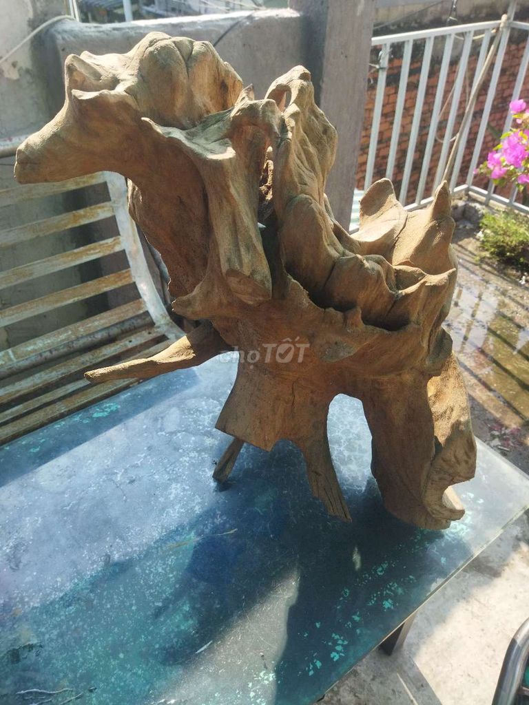 Lũa gỗ màu nâu. Mua bán Đồ sưu tầm, đồ cổ tại Huyện Hóc Môn Tp Hồ Chí Minh được đăng bởi Huy hình 1