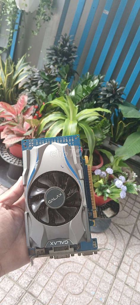 Card đồ họa GALAX GTX 750. Mua bán Linh kiện (RAM, Card...) tại Thành phố Biên Hòa Đồng Nai được đăng bởi Vi tính thanh phúc hình 1