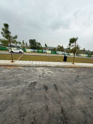 LÔ ĐẤT ĐỒNG TRẠNG CỔ ĐÔNG 100M FULL THỔ CƯ MẶT TIỀN 6M GIÁ 2,95 TỶ