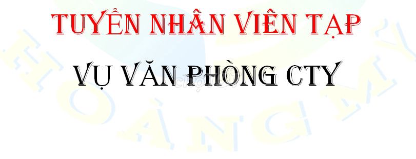 Cần Tuyên Gấp Nữ Tạp Vụ Tại Phường Thạnh Mỹ Lợi