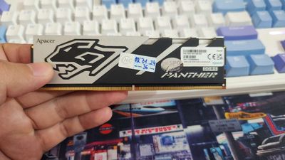 RAM DDR5 16GB Apacer panther không LED