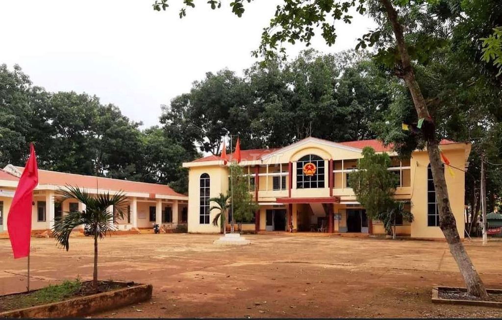 Đất nền chính chủ sát trường học giá rẻ tại Bình Phước .